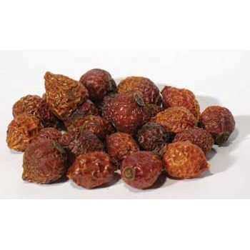 Rose Hips Whole 2oz (Rosa canina)