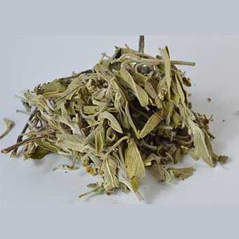 Sage Leaf cut 1oz Salvia officinales