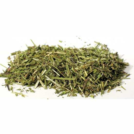 Scullcap cut 1oz Scutellaria lateriflora