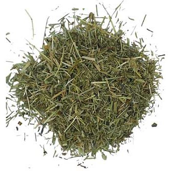 Shavegrass cut 2oz wild crafted horsetail