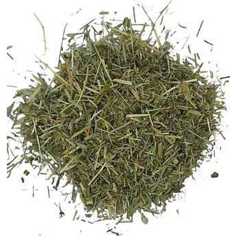 1 Lb Shavegrass cut wild crafted horsetail