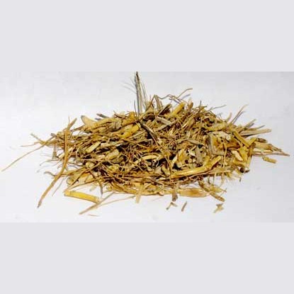 1 Lb Witches Grass cut Agropryon repens