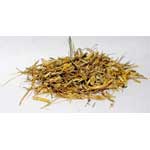 Witches Grass cut 1oz Agropyron repens