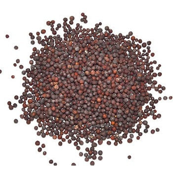 Brown Mustard Seed 1 oz