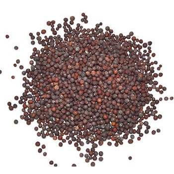 Brown Mustard Seed 1oz