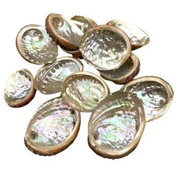 pack of 100 2" - 3" Abalone Shell incense burner
