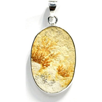 Russian Dendritic Agate pendant