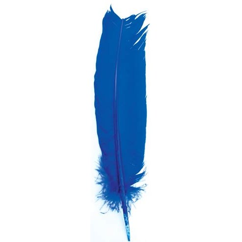 set of 10 Blue feather 12"