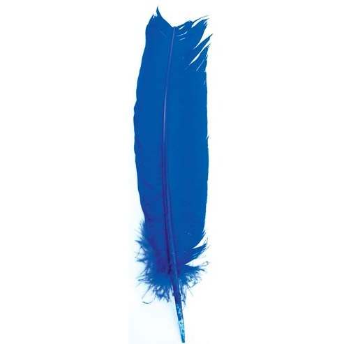 Set of 10 vibrant 12-inch blue turkey feathers for spiritual rituals and empath protection