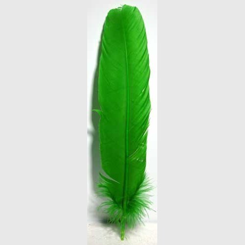 set of 10 Green feather 12"