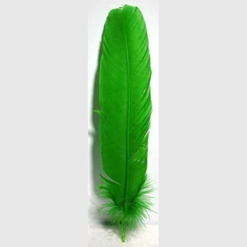 Green Feathers, Set of 10, 12 Inches