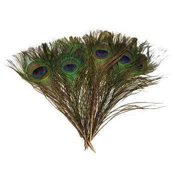 Peacock Feathers Set, 100 Individual Feathers