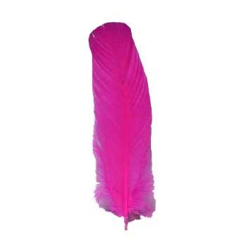 set of 10 Pink feather 12"