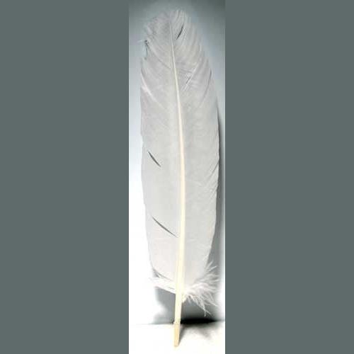 set of 10 White feather 12"