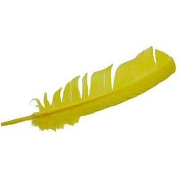 Vibrant Yellow Turkey Feather Set, Set of 10 Pieces, 12 Inches in Length