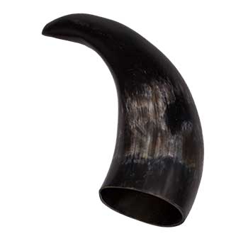 Polished Cattle Horn End, 6-8"
