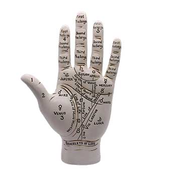 Large Palmistry Hand, 9 1/2"