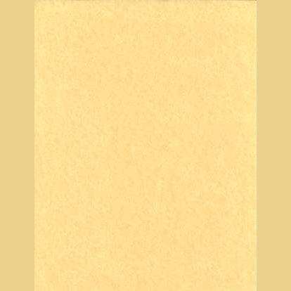Light Parchment Paper 25 Pack 8 1/2" x 11"