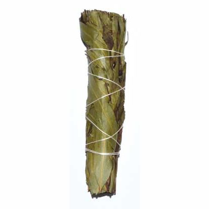 4" Eucalyptus Citridora smudge stick