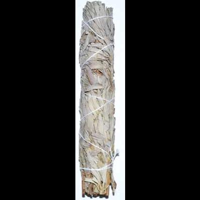9" White Sage smudge stick