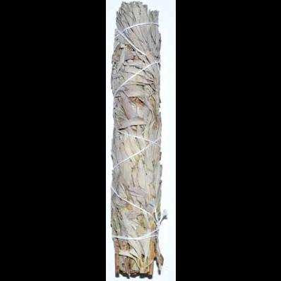 9" White Sage smudge stick
