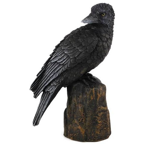 Backward looking raven statue on rocky outcropping.