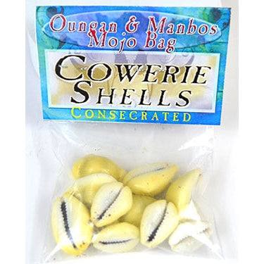 Consecrated Cowrie Shells for divination and spellcasting, 1oz bag.