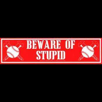 Beware of Stupid sign 11.5x3 inches for metaphysical protection and energy work