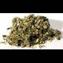 Mugwort Spiritual Items