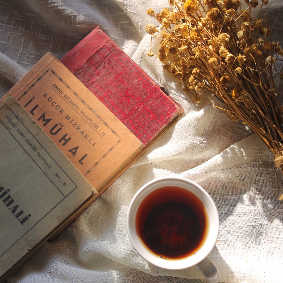Herbalism and Plant Magic Books
