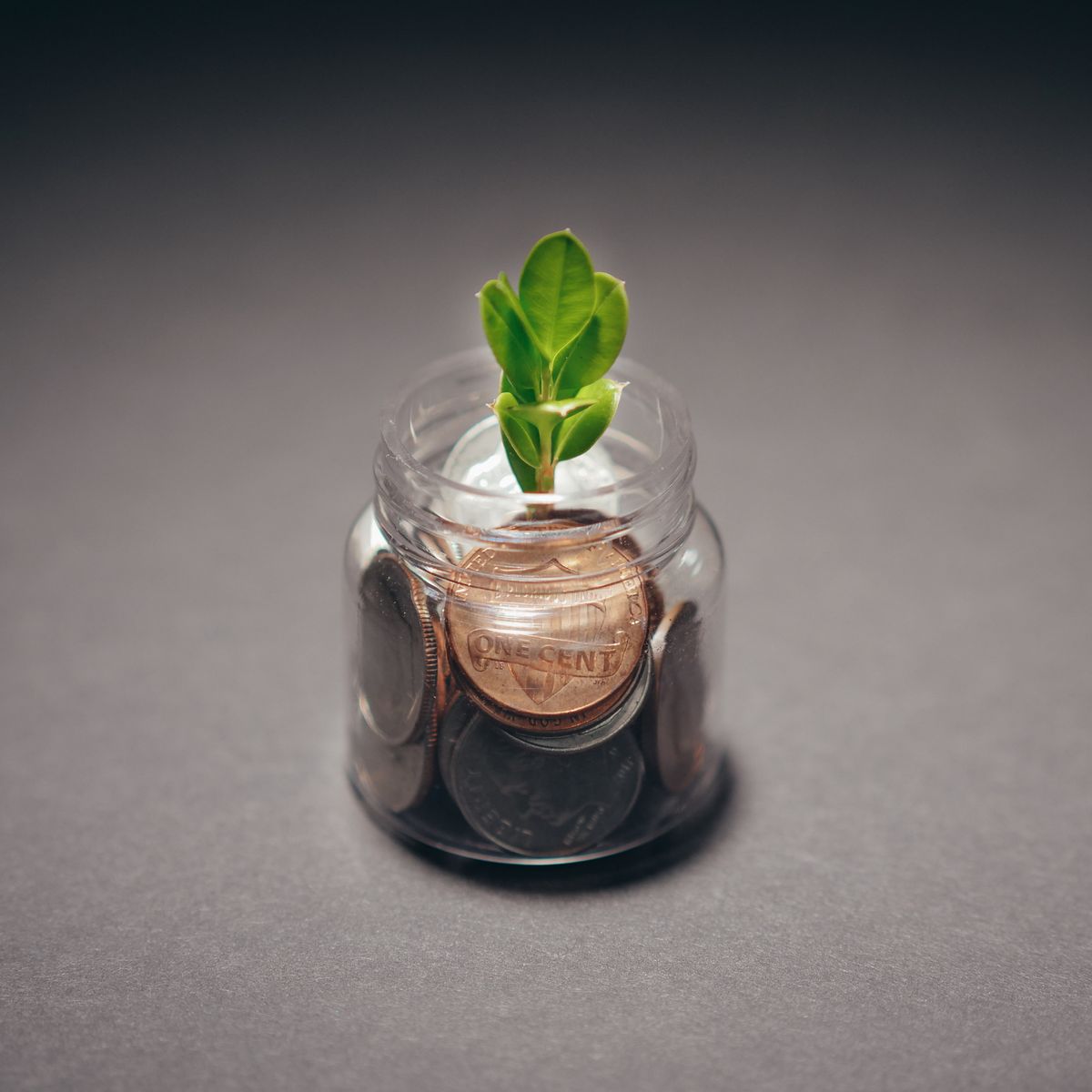 Money Spell Items Under $5