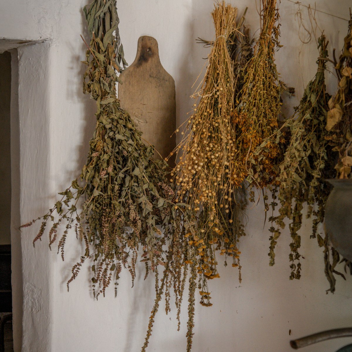 Dried Herbs