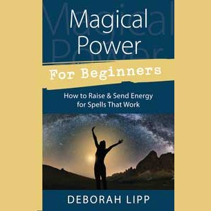 Beginner's guide to magical power by Deborah Lipp, paperback cover featuring a person silhouetted against a starry sky.