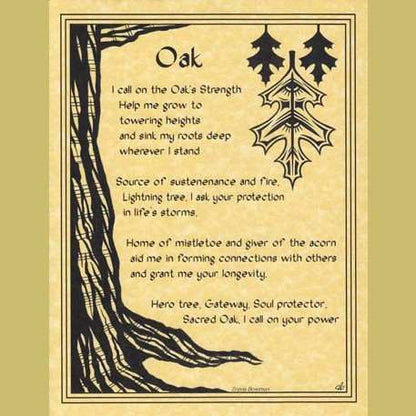 Oak poster