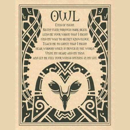 Owl poster