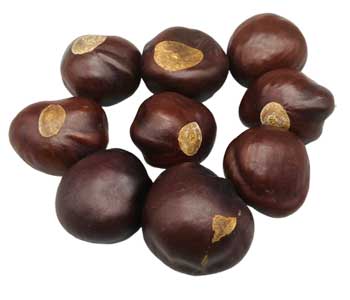 Buckeyes whole 1oz