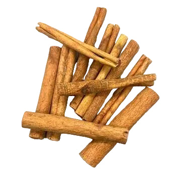 Cinnamon sticks on a white background