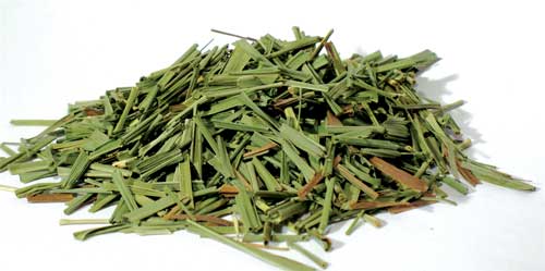 1 Lb Lemongrass cut (Cymbopogon citratus)