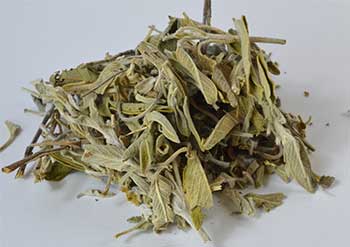 Sage Leaf cut 1oz (Salvia officinales)