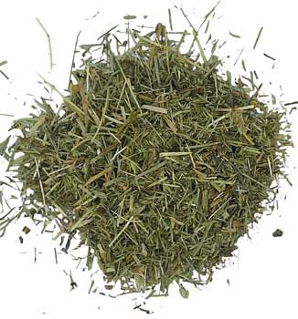 Shavegrass cut 1oz wild crafted