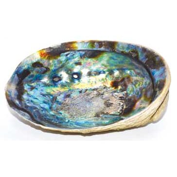 Iridescent 5-6" Abalone Shell Incense Burner for spiritual cleansing and empath protection
