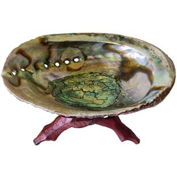 5"- 6" Abalone Shell incense burner with stand