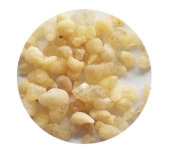 Frankincense sifted resin incense granules, 1.5 oz.