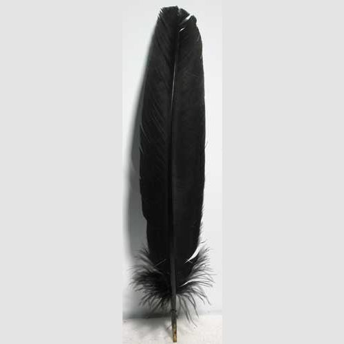 set of 10 Black feather 12"