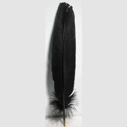 Set of 10 black feathers for spiritual protection and energy cleansing rituals
