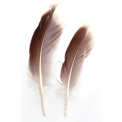 Natural Gray Goose feather