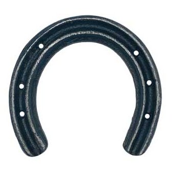Good Luck Horseshoe