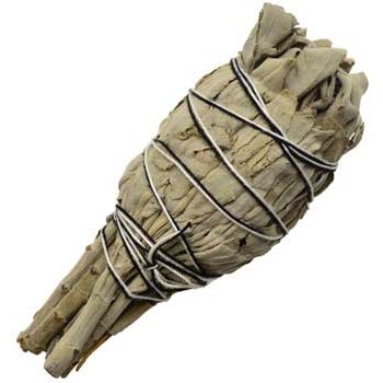 California White Sage Smudge Stick, 4 Inch