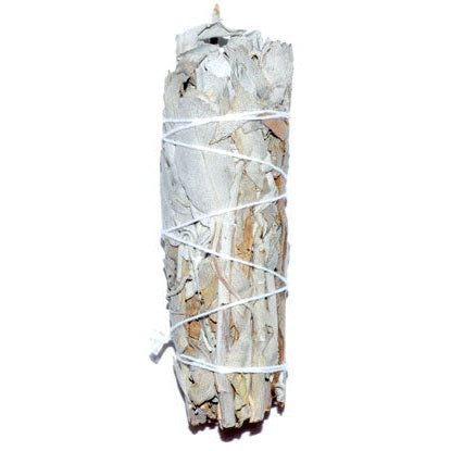California White Sage Smudge Stick, 3 Inch