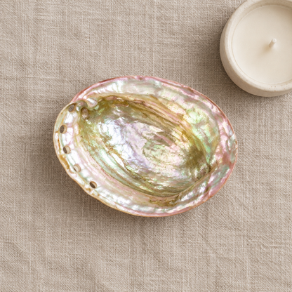 Abalone shell flat-lay review draft